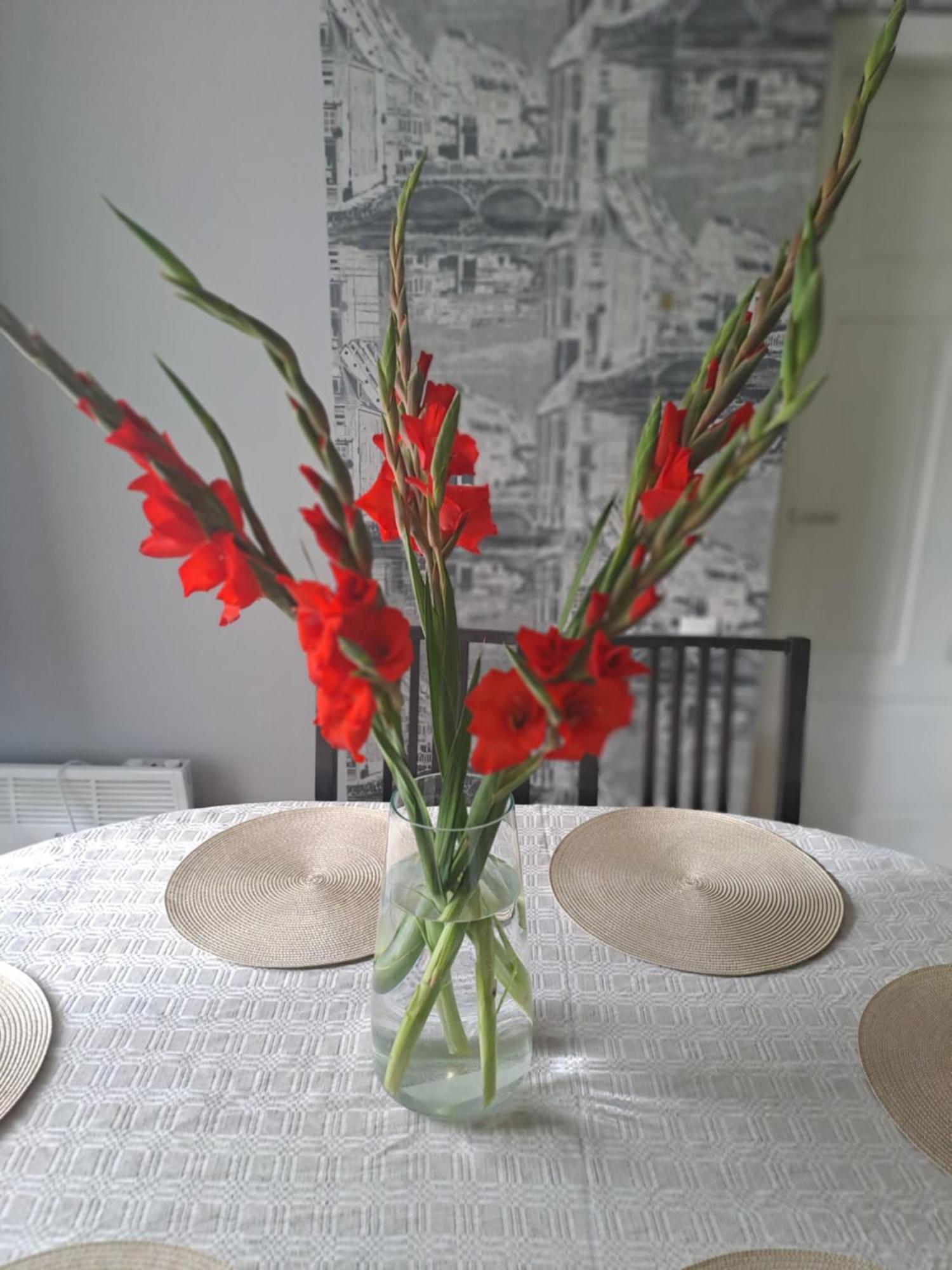Kica Kroga Apartaments Ainaži Εξωτερικό φωτογραφία